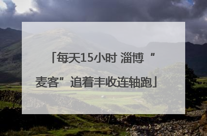 每天15小时 淄博“麦客”追着丰收连轴跑