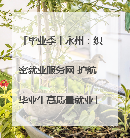 毕业季丨永州：织密就业服务网 护航毕业生高质量就业