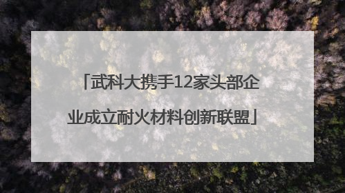 武科大携手12家头部企业成立耐火材料创新联盟