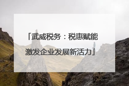 武威税务：税惠赋能 激发企业发展新活力