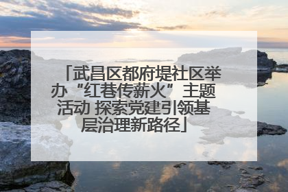 武昌区都府堤社区举办“红巷传薪火”主题活动 探索党建引领基层治理新路径