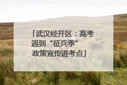 武汉经开区：高考遇到“征兵季”  政策宣传进考点