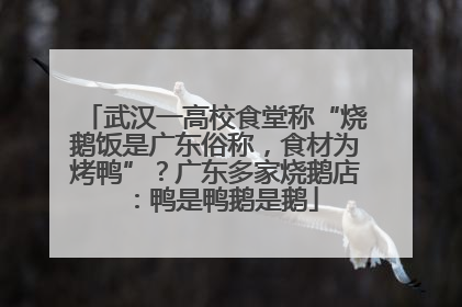 武汉一高校食堂称“烧鹅饭是广东俗称，食材为烤鸭”？广东多家烧鹅店：鸭是鸭鹅是鹅