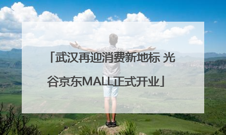 武汉再迎消费新地标 光谷京东MALL正式开业