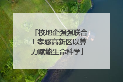 校地企强强联合！孝感高新区以算力赋能生命科学