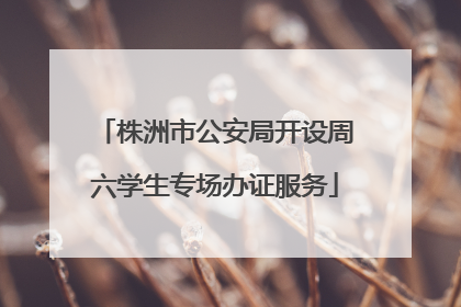 株洲市公安局开设周六学生专场办证服务