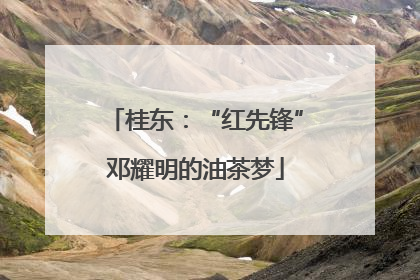 桂东：“红先锋”邓耀明的油茶梦