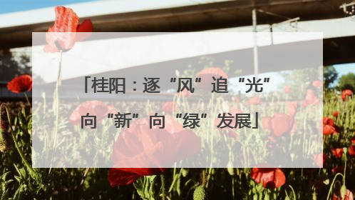 桂阳：逐“风”追“光” 向“新”向“绿”发展