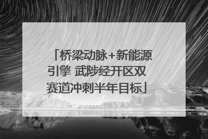 桥梁动脉+新能源引擎 武陟经开区双赛道冲刺半年目标
