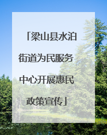梁山县水泊街道为民服务中心开展惠民政策宣传