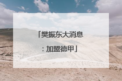 樊振东大消息：加盟德甲