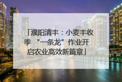 濮阳清丰：小麦丰收季 “一条龙”作业开启农业高效新篇章