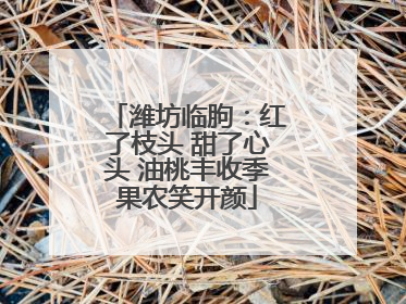 潍坊临朐：红了枝头 甜了心头 油桃丰收季果农笑开颜