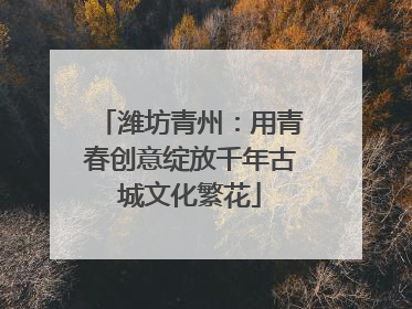 潍坊青州：用青春创意绽放千年古城文化繁花