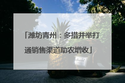 潍坊青州：多措并举打通销售渠道助农增收