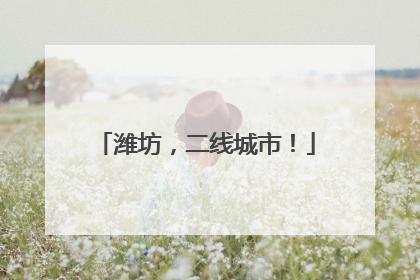 潍坊，二线城市！