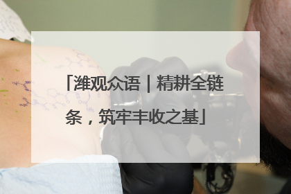 潍观众语｜精耕全链条，筑牢丰收之基