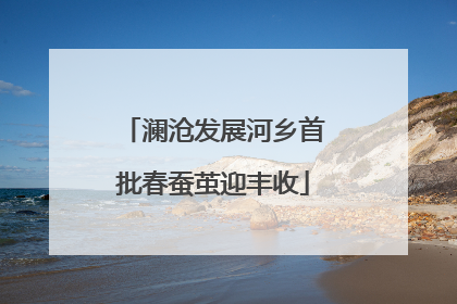 澜沧发展河乡首批春蚕茧迎丰收