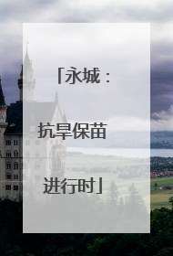 永城：抗旱保苗进行时