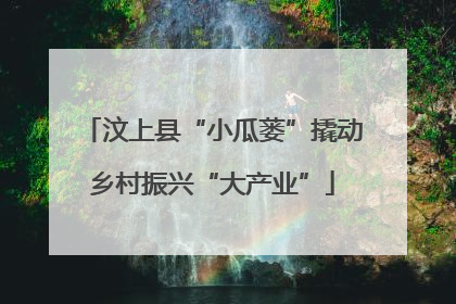 汶上县“小瓜蒌”撬动乡村振兴“大产业”
