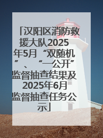汉阳区消防救援大队2025年5月“双随机”、“一公开”监督抽查结果及2025年6月监督抽查任务公示