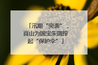 汛期“突袭”，崀山为国宝朱鹮撑起“保护伞”