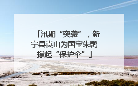 汛期“突袭”，新宁县崀山为国宝朱鹮撑起“保护伞”