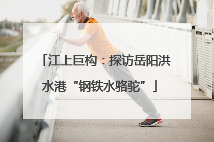 江上巨构：探访岳阳洪水港“钢铁水骆驼”