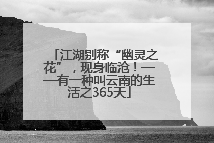 江湖别称“幽灵之花”，现身临沧！——有一种叫云南的生活之365天
