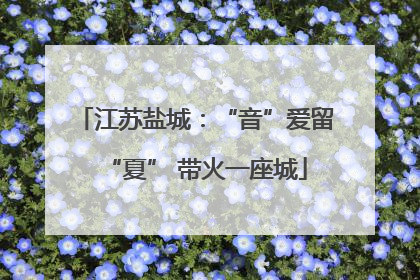 江苏盐城：“音”爱留“夏” 带火一座城