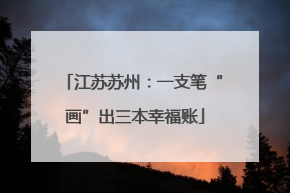 江苏苏州：一支笔“画”出三本幸福账