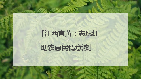 江西宜黄：志愿红助农惠民情意浓