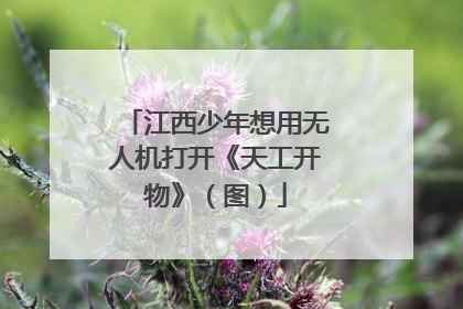 江西少年想用无人机打开《天工开物》（图）