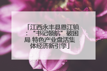 江西永丰县恩江镇：“书记领航”破困局 特色产业盘活集体经济新引擎