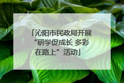 沁阳市民政局开展“研学促成长 多彩在路上”活动