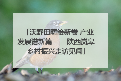 沃野田畴绘新卷 产业发展谱新篇——陕西岚皋乡村振兴走访见闻