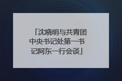 沈晓明与共青团中央书记处第一书记阿东一行会谈