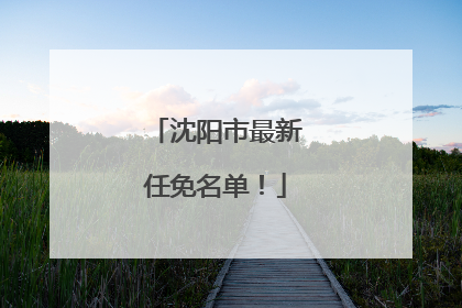沈阳市最新任免名单！