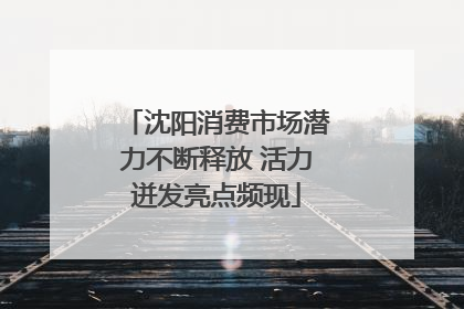 沈阳消费市场潜力不断释放 活力迸发亮点频现