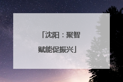 沈阳：聚智赋能促振兴