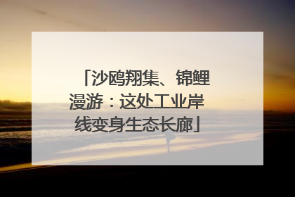 沙鸥翔集、锦鲤漫游：这处工业岸线变身生态长廊