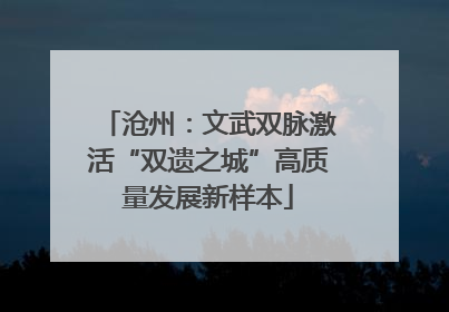 沧州：文武双脉激活“双遗之城”高质量发展新样本
