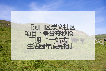 河口区崇文社区项目：争分夺秒抢工期 “一站式”生活圈年底亮相