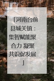 河南台前县城关镇：集智赋能聚合力 凝聚共识促发展