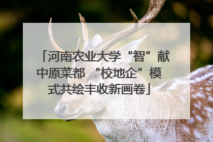 河南农业大学“智”献中原菜都 “校地企”模式共绘丰收新画卷