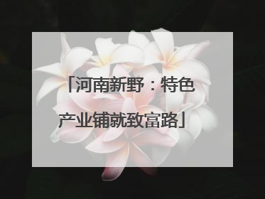 河南新野：特色产业铺就致富路