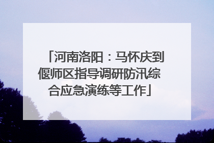 河南洛阳：马怀庆到偃师区指导调研防汛综合应急演练等工作
