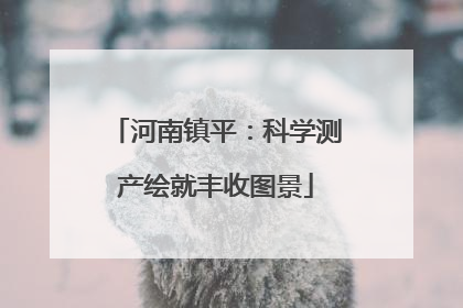 河南镇平：科学测产绘就丰收图景