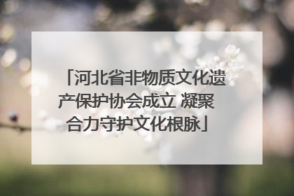 河北省非物质文化遗产保护协会成立 凝聚合力守护文化根脉