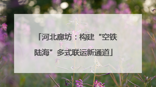 河北廊坊：构建“空铁陆海”多式联运新通道